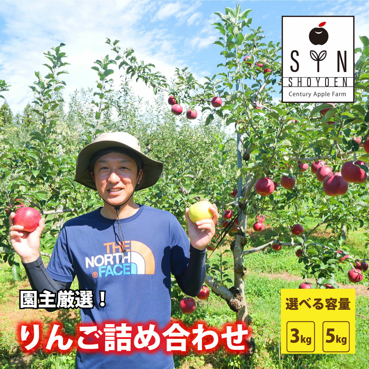【ふるさと納税】先行予約 りんご 園主 厳選 詰め合わせ 選べる 容量 3kg 5kg 旬 品種 おまかせ / 林檎 リンゴ apple フルーツ アップル 松陽園 樹上 完熟 果物 果実 岩手県 遠野市 ご自宅用 農家直送 産地直送 人気 おすすめ お取り寄せ セット季節 2025年10月中旬から発送