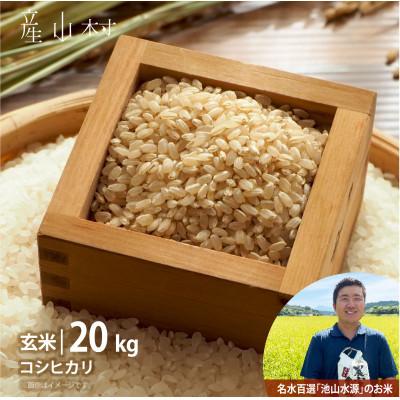 ふるさと納税 産山村 【令和7年産新米】うぶまい(コシヒカリ玄米)20kg〈阿蘇の名水　池山水源米〉