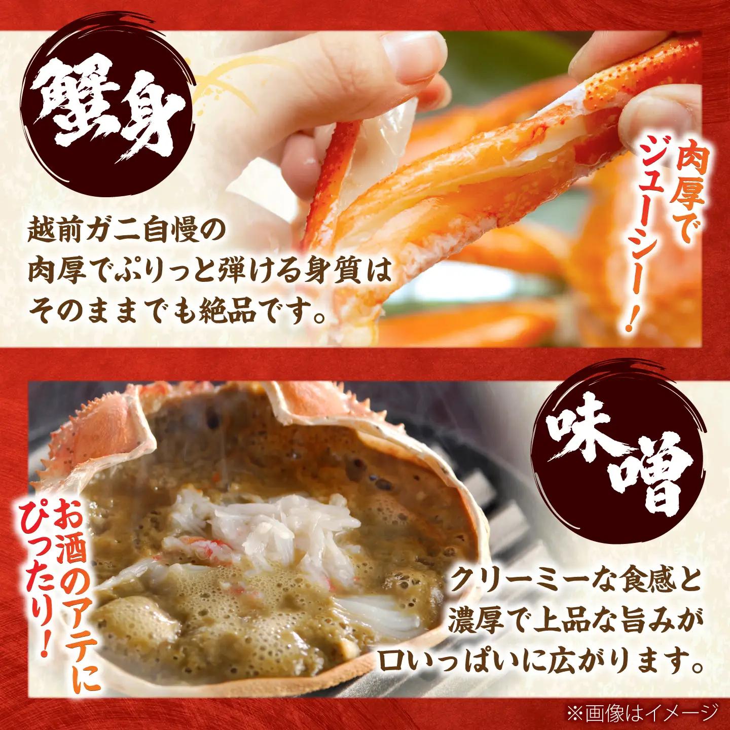 【年末配送】越前がに 900ｇ×3ハイ ズワイガニ 【先行予約/12月25日より順次発送】【配送不可地域：北海道・沖縄・離島】[BFCS044]