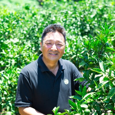 【愛媛名産】玉宝みかん(5kg)【C64−1】【1340879】