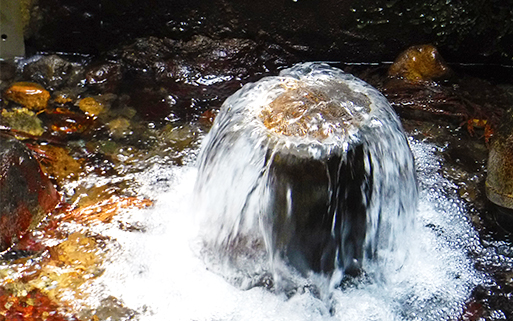 【定期便 12ヶ月】い・ろ・は・す（いろはす）阿蘇の天然水 540ml 計48本×12回 合計576本 540mlPET×24本×2ケース 送料無料《お申込み月の翌月から出荷開始》_イメージ4