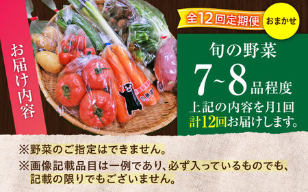 【全12回定期便】【数量限定】旬の 野菜 セット (約3㎏/野菜7-8品程度) / 野菜 新鮮 旬 詰合せ セット 熊本県 菊陽町 特産品 【有限会社さんふれあ】[BHAK026]