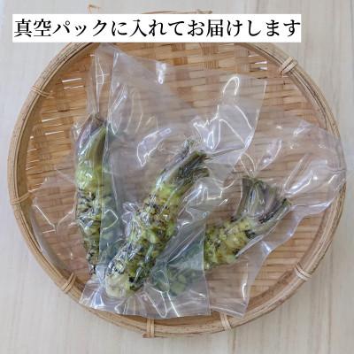 ふるさと納税 遠野市 マルカツわさび 小サイズ 5本 真空 岩手県遠野市産【こんたでぃーの遠野】 |  | 01