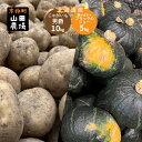 【ふるさと納税】北海道産じゃがいも男爵10kg・かぼちゃブラックのジョー5kg　 野菜 野菜セット 野菜詰め合わせ ホクホク 栗南瓜 秋の味覚 生産者直送 食材 北海道野菜 旬の野菜 　お届け：2024年10月～11月下旬