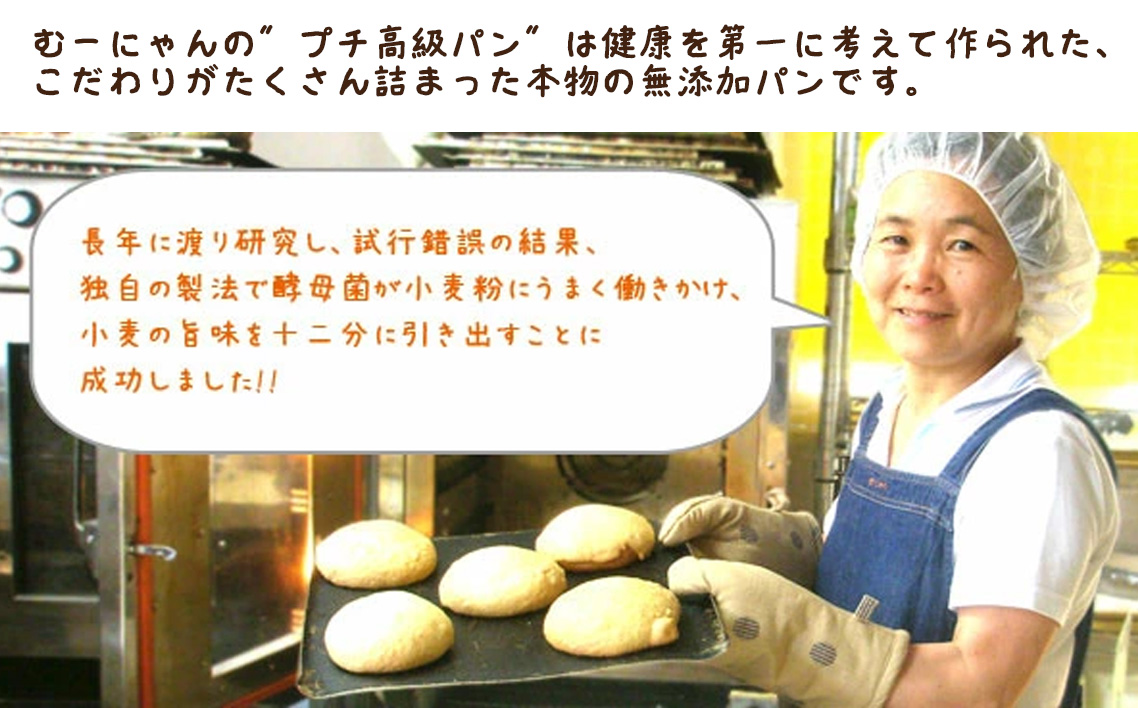 無添加 おまかせ冷凍パン 福箱 25〜30個入 詰め合わせセット No.060
