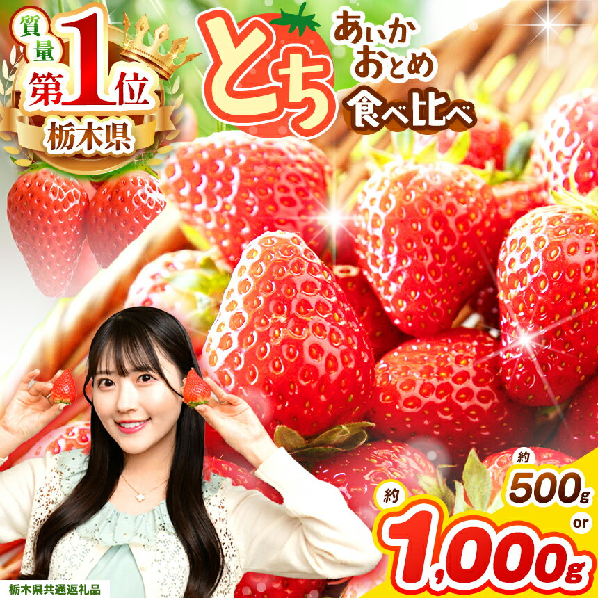 【ふるさと納税】 苺 いちご 美味比べ とちあいか とちおとめ 食べ比べ 500g 1000g【先行予約】 | 苺 王国 日本一 家庭用 大粒 秀品 おとめ あいか 食べ比べ 数量 限定 ストロベリー 果物 フルーツ 限定品種 送料無料 栃木県共通返礼品 栃木県 下野市