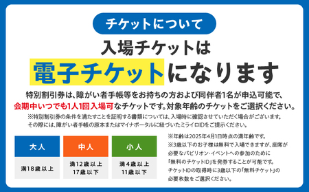 【特別割引券】2025年日本国際博覧会 大阪・関西万博 入場チケット（中人1名分）【EXPO 2025 大阪 関西 日本 万博 ばんぱく 夢洲 早期購入割引 前売り 期間限定】