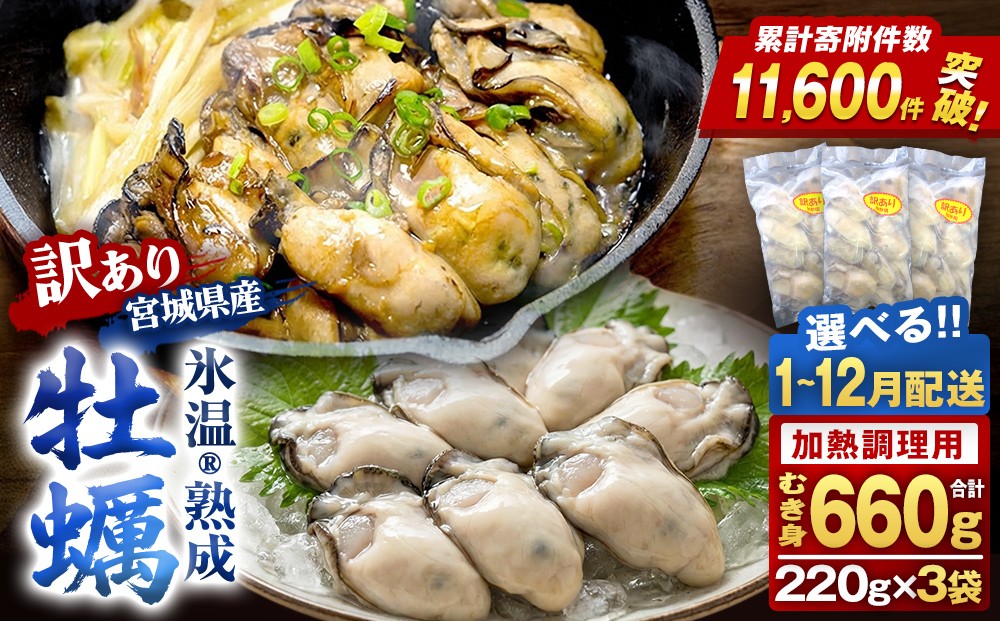 
                  《 配送月 が 選べる 》 牡蠣 ＜ 訳あり ＞ 氷温熟成 かき 220g × 3パック 加熱用 むき身 冷凍 バラ冷凍 個包装 カキ 不揃い 魚貝類 貝類 海の幸 BBQ バーベキュー 海の幸 おつまみ 宮城県 石巻市 石巻 宮城 まるたか水産
                