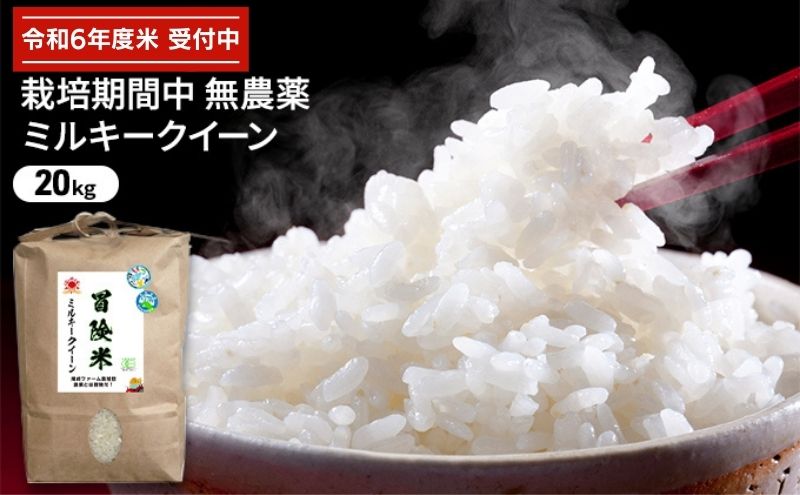 令和6年産 栽培期間中無農薬ミルキークイーン 20kg お米 精