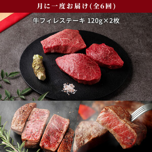 993.【和牛セレブ（6ヶ月定期便）】鳥取県産牛ヒレステーキ2枚×6か月間