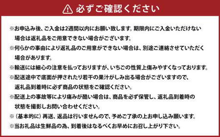 【3ヶ月定期便】あまおう2パック×3回発送 あまおう いちご イチゴ 苺 果物 くだもの フルーツ【2027年2月上旬～4月下旬発送予定】
