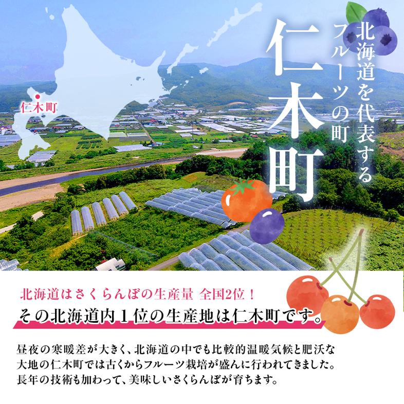 2026年発送 数量限定 北海道 仁木町産  さくらんぼ 水門 600g M