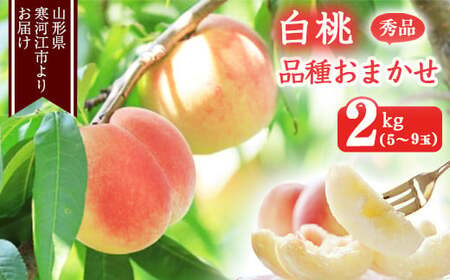 山形の白桃 秀品 2kg（5 - 9玉） 品種おまかせ 秀品 山形県産 2025年産 令和7年産【2025年8月上旬頃から9月下旬頃発送予定】※ 配送不可 沖縄・離島　012-B-MM011