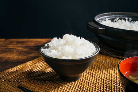 新潟産 コシヒカリ【精米】 10kg（5kg×2袋） ミネラル豊富な土壌で育ったお米 加茂市 太蔵ファーム