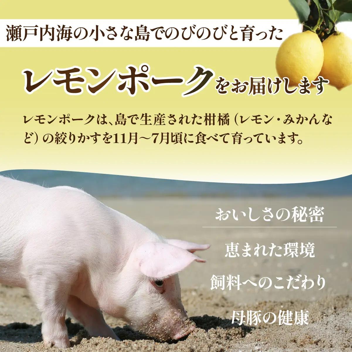 豚肉 レモンポーク　スペアリブ500gバラ焼肉400g【配送不可地域：離島】