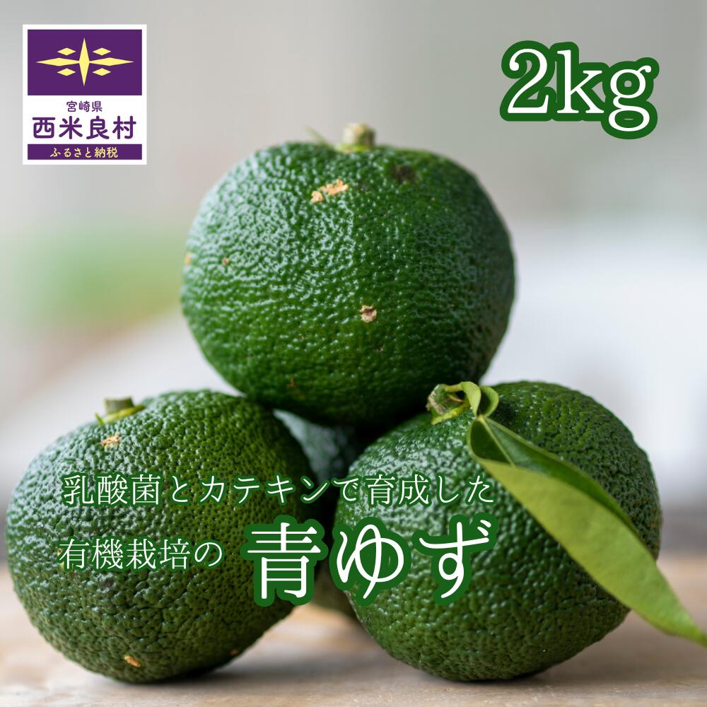 【ふるさと納税】乳酸菌とカテキンで育成したこだわりの青ゆず2キロ※8月下旬より発送開始　かんきつ 柑橘 果実 柚子 ユズ ゆず 青柚子 九州産 宮崎県 西米良村