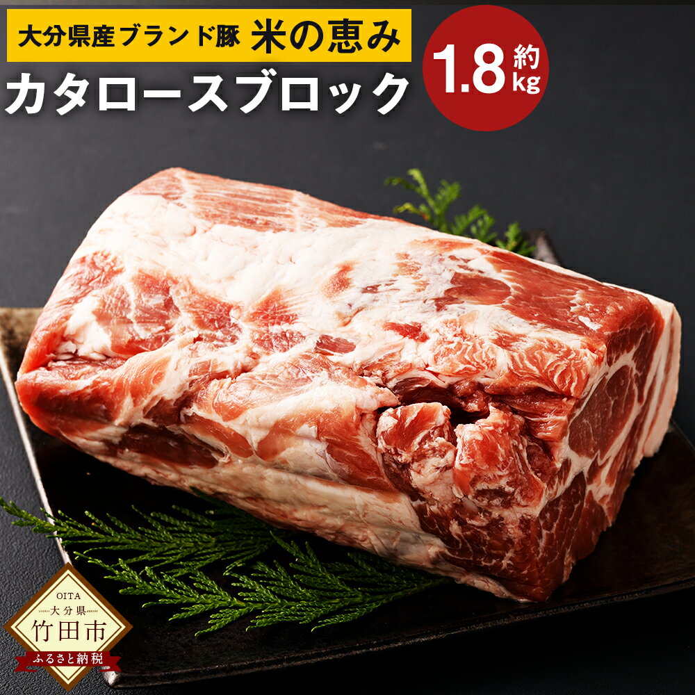 【ふるさと納税】大分県産 ブランド豚 奥豊後豚（米の恵み）カタロース ブロック 1.8kg 肉 豚 豚肉 国産 とんかつ トンテキ 肩ロース ブロック肉 かたまり 塊 かたまり肉 BBQ キャンプ 冷凍 大分県 竹田市 送料無料