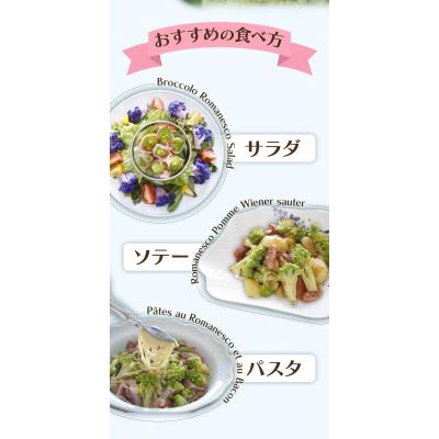 ふるさと納税 大崎町 冷凍カットロマネスコカリフラワー 400g×4袋(1.6kg) |  | 01