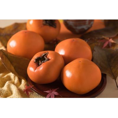 ふるさと納税 八頭町 八頭町が誇る日本随一の甘柿『花御所柿』 2kg