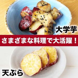 紅はるか　約5kg(9～38個)さつまいも(益城町)【1655084】