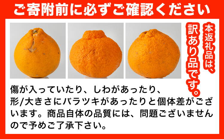 訳あり 不知火 ( デコポン と同品種 ) しらぬい 約 5kg (M～5Lサイズ) どの坂果樹園《2027年2月上旬-4月上旬頃出荷》 和歌山県 日高川町 しらぬい 不知火 デコポン でこぽん 旬 