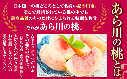 【2027年先行予約】 桃 トロっと とろける旨さ ブランド桃 あら川の桃 約2kg(5-8玉入り) お届け時期に合わせた品種を厳選してお届け!《2027年6月中旬-8月中旬頃出荷》【一部配送不可地域