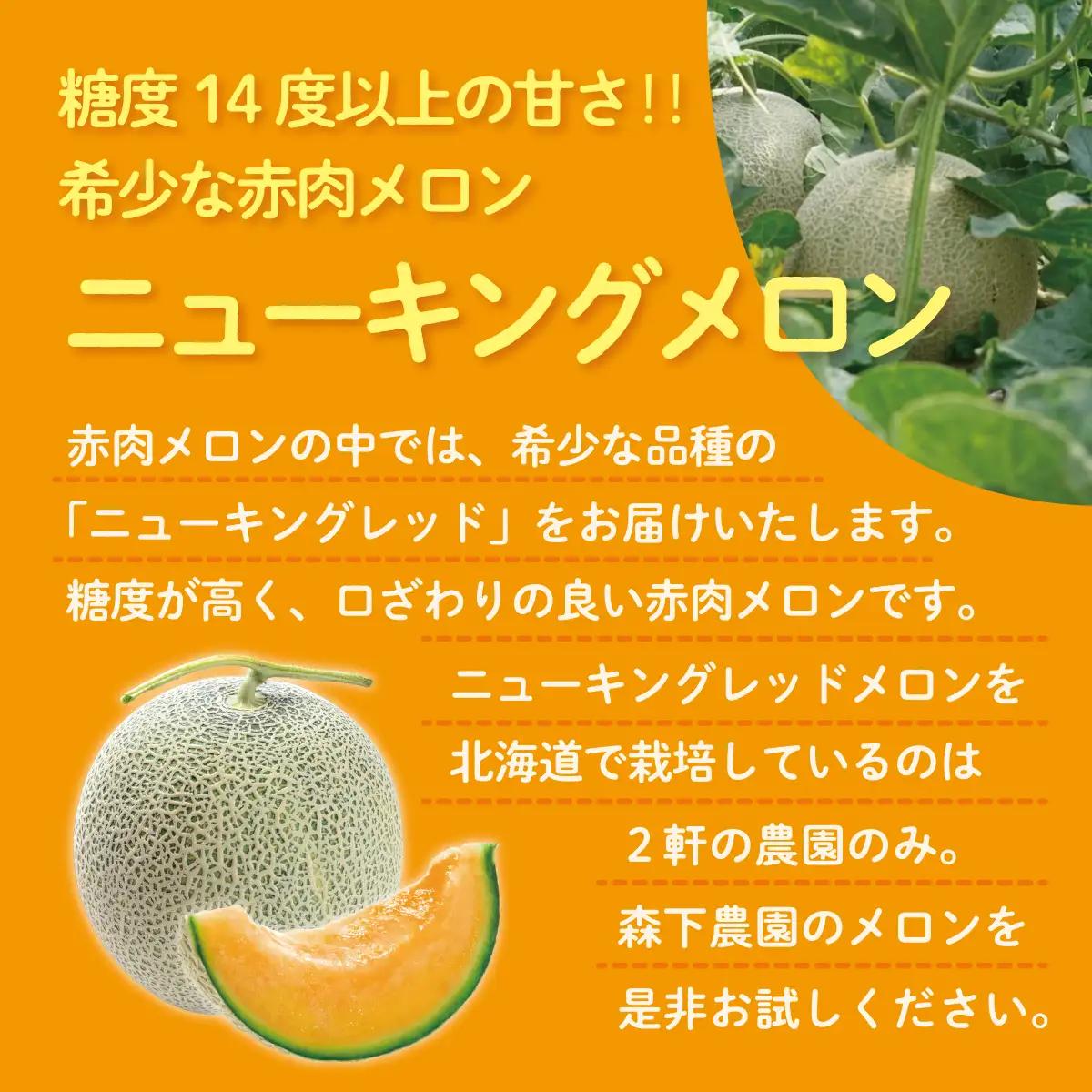【先行予約】【定期便2回】赤肉メロン2玉＋小玉スイカ2玉 旬のフルーツ定期便　SBTN011
