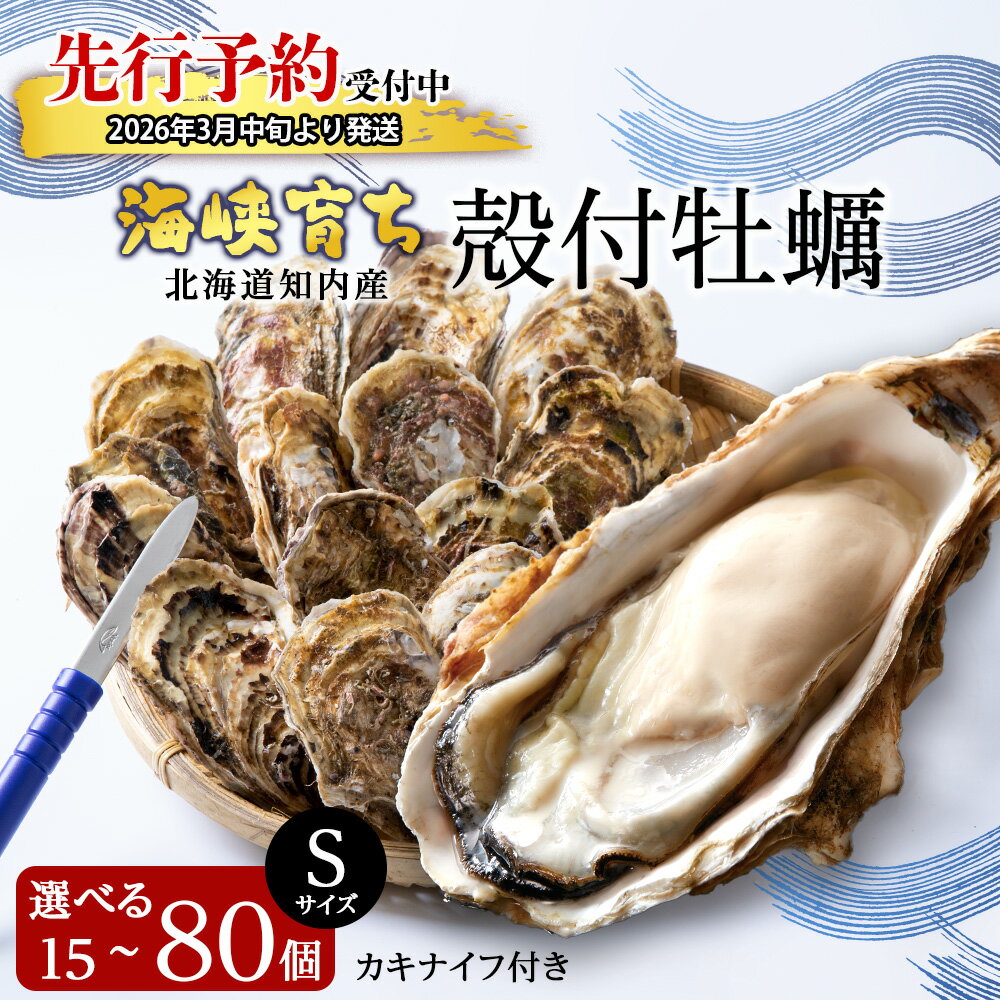 【ふるさと納税】【2026年3月中旬以降発送】海峡育ち 殻付き牡蠣 Sサイズ 選べる15個〜80個入り カキナイフ付 生牡蠣 かき カキ 貝 海鮮 BBQ 鍋 ギフト＜上磯郡漁業協同組合＞知内町 ふるさと納税 北海道産牡蠣 カキ 北海道 牡蠣 ふるさと納税牡蠣 産地直送