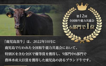 鹿児島黒牛リブローススライスセット 600g（300g×2パック）（A-201）｜ 国産 牛肉 肉 黒牛 スライス