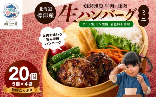 北海道産 生ハンバーグ ミニ 選べる 20個 セット ( 5個 × 4パック ) 冷凍 手作り ハンバーグ 国産 保存料不使用 牛肉 豚肉 ギフト お弁当 子供 子ども こども 安心 アミノ酸不使用 リン酸塩不使用 着色料不使用 牛 豚 肉 肉加工品 加工品 国産肉 国産豚 国産牛 はんばーぐ hannba-gu 冷凍食品 ロコモコ ロコモコ丼 小さめ 便利 パック 北海道 標津町