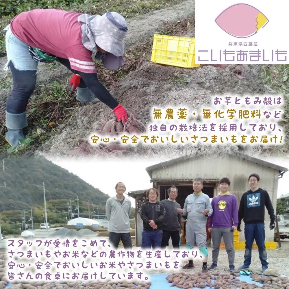 超熟成蜜芋「こいもあまいも」の冷凍ミニクレープ 8本セット（10-107）