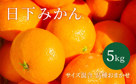 【2026年10月以降順次発送】日下みかん サイズ混合 2S～2L 5kg 秀品 果物類 柑橘類 フルーツ 農薬 有機肥料 光センサー 高品質 おいしい 