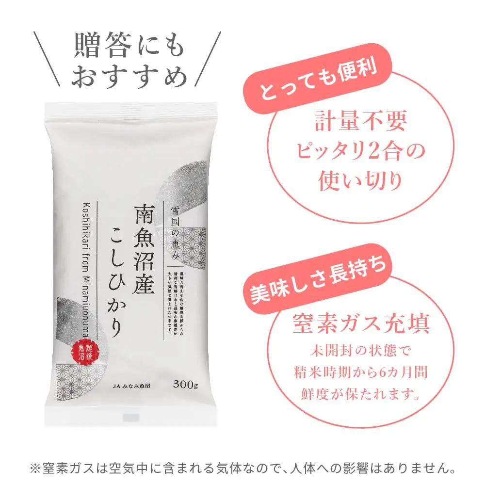 【JAみなみ魚沼定期便】南魚沼産こしひかり（窒素充填2合パック10袋入×全3回）｜こしひかり