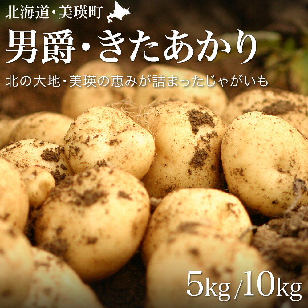 【ふるさと納税】【先行予約】じゃがいも（男爵・北あかり）5kg 10kg ≪令和8年産≫黒木農場 | 人気 おすすめ ランキング いも 芋 イモ じゃがいも ジャガイモ 男爵 北あかり きたあかり キタアカリ 北海道 野菜　[006-27]