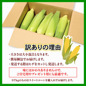 訳あり スイートコーン (ゴールドラッシュ) 2㎏（5～6本）|  2026年発送 6月 高知県スイートコーン とうもろこし スイート コーン コーン