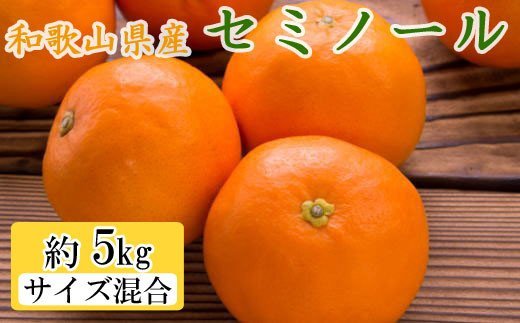 
和歌山県由良町産セミノールオレンジ約5kg(サイズ混合　秀品) / 果物 オレンジ フルーツ 蜜柑 みかん 【tec922A】
