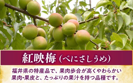 うめグラッセ セミドライ 16粒入 紅映梅使用 / 梅 ウメ 甘酸っぱい 梅スイーツ 小浜市 / アップ・トゥ・ユウ[BFAU006]