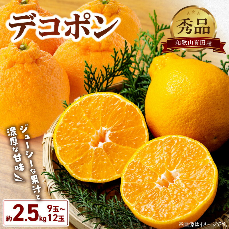 【ふるさと納税】【2026年先行予約】 限定 和歌山 有田産 デコポン 秀品 2.5kg 9～12玉 糖度 13度以上 大きい 果肉 ジューシー 果汁 濃厚 甘み あと引く 酸味 バランス 絶妙 不知火 果物 フルーツ 果実 デザート 柑橘 お取り寄せ 和歌山県 湯浅町 送料無料