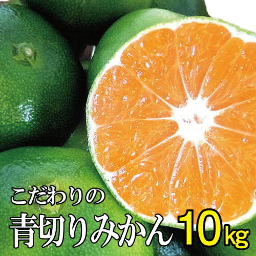 【農家直送】こだわりの青切りみかん 約10kg  有機質肥料100%　※2024年9月下旬より順次発送予定（お届け日指定不可）【nuk108A】