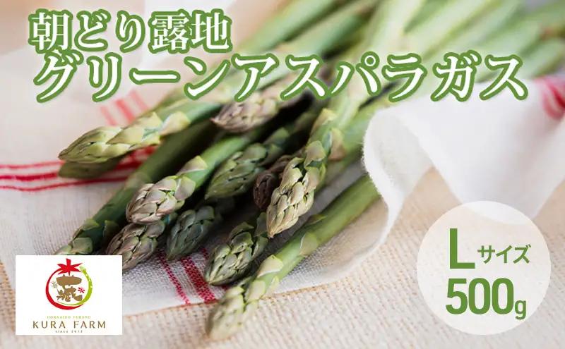 【2027年5月より発送】北海道 富良野市産 アスパラ 緑 約500g (15～23本前後) 朝どり 露地 グリーン アスパラガス 詰め合わせ 野菜 新鮮 数量限定 先着順【藏ファーム】