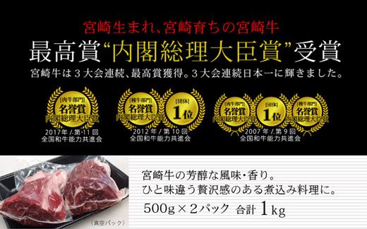 ＜宮崎牛＞牛スネ（煮込み用） 合計1kg（500g×2パック）※90日内に出荷【B228】