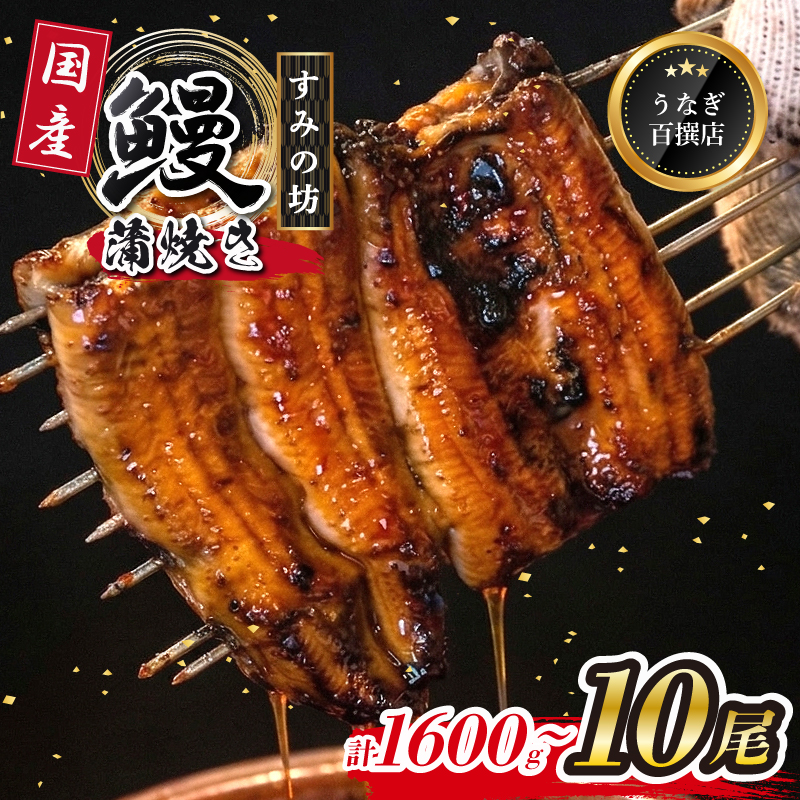 鰻蒲焼 10尾 約1600g～1800g すみの坊 うなぎ 国産 鰻 蒲焼き 手焼き 真空パック ウナギ 土用丑の日 うな重 うな丼 晩ごはん 家族 惣菜 鰻重 贈り物 ギフト 三島うなぎ 静岡県 三島市