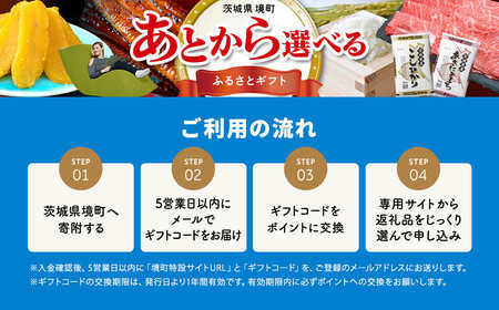 【あとから選べるカタログ】寄附1,000,000円(300,000円分ポイント)800品以上！あとからセレクト