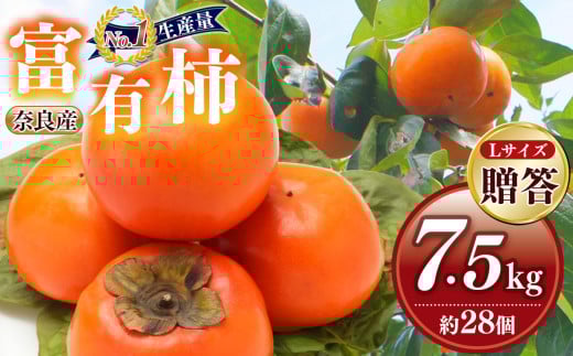 ［Sunファーム］富有柿 贈答用 Lサイズ28個入（約7.5kg） | フルーツ くだもの 果物 柿 かき カキ 富有柿 日本一の柿のまち 秋の味覚 贈答用 贈り物 奈良県 五條市柿 