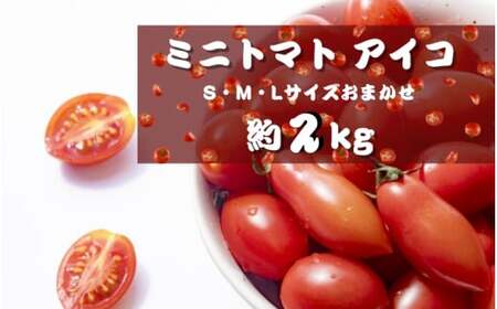 ミニトマト アイコ (松トマト） 約2kg（S・M・Lサイズおまかせ）【5月発送】【sml131-5】