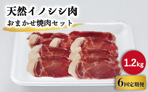 【6回定期便】ジビエ 天然イノシシ肉 おまかせ焼肉セット 1.2kg （ロース・モモ・バラ）【照本食肉加工所】 [OAJ035] / 肉 猪 猪肉 イノシシ イノシシ肉 いのしし しし肉 しし鍋 ボタン鍋 ジビエ