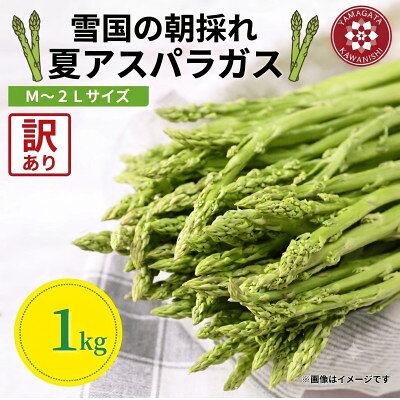 【ふるさと納税】令和8年 山形県川西町産 雪国朝採れアスパラガス(夏)訳あり(不揃い)M～2L 相当　1kg【配送不可地域：離島・北海道・沖縄県・信越、北陸・近畿・中国・四国・九州】【1764660】