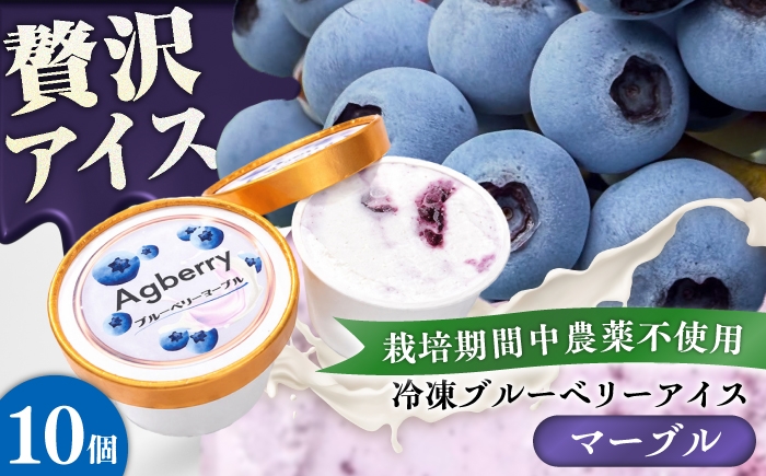 
                  冷凍ブルーベリーアイス(ブルーベリーマーブル) 計10個セット / アイス あいす 氷菓子 フルーツ ブルーベリー ぶるーべりー マーブル デザート おやつ お菓子 カップ カップアイス 夏 ひんやり 熊本県 冷凍 菊陽町 スイーツ 九州 お取り寄せ ご褒美 洋菓子【アグファーム株式会社】 [BHCX019]
                