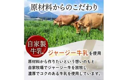 ジェラート 【自家牧場ジャージー牛乳使用】Demのジェラートカップ6個セット 