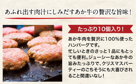 【3ヶ月定期便】 熊本県産 あか牛 ハンバーグ 150g × 10個 南阿蘇食品 《お申込み月の翌月より発送開始》計3回お届け ---sms_fmshbtei_23_39000_mo3num1---